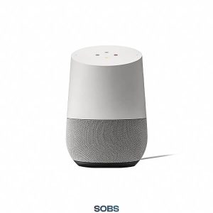 Google Home Assistant